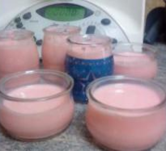 YOGURES DE SABORES